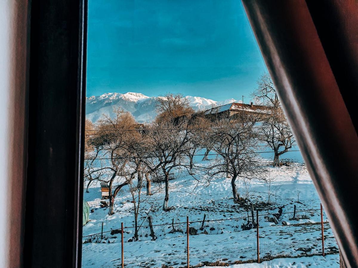 Transylvania Mountain Exclusive Bran  Zewnętrze zdjęcie