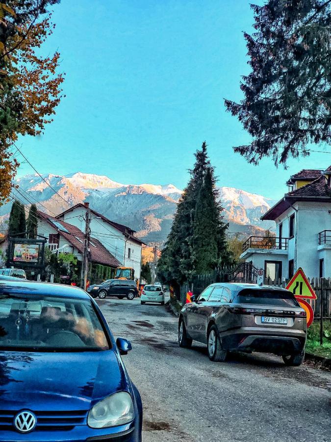 Transylvania Mountain Exclusive Bran  Zewnętrze zdjęcie