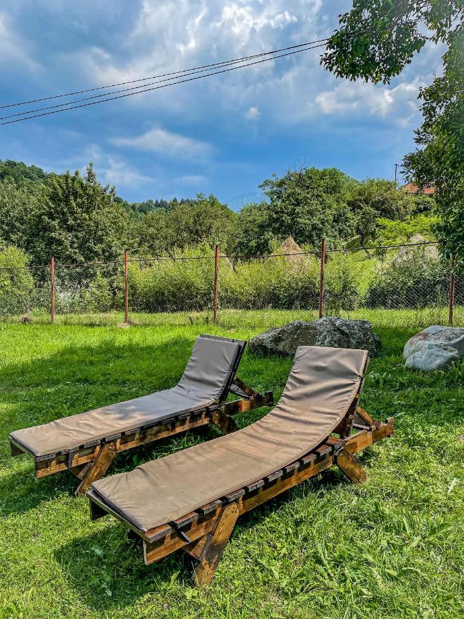 Transylvania Mountain Exclusive Bran  Zewnętrze zdjęcie