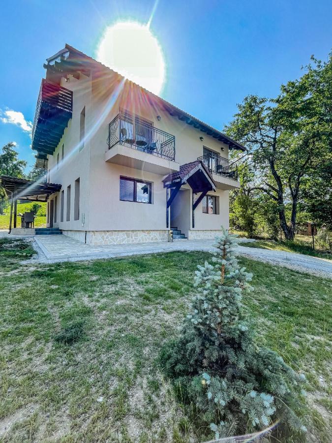 Transylvania Mountain Exclusive Bran  Zewnętrze zdjęcie